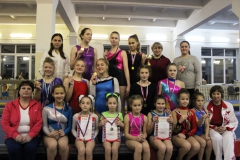 Областные соревнования по спортивной гимнастике среди женщин, юниорок и девушек